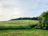 2513 Horton Rd photo